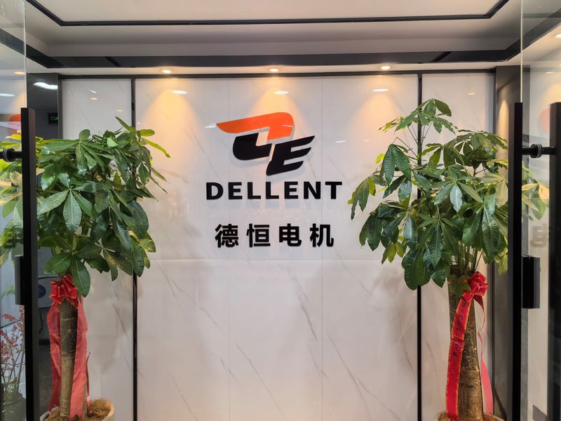 China Fuan Dellent Electric &amp; Machinery Co., Ltd. Unternehmensprofil